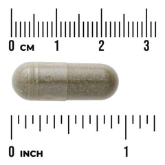 Full Spectrum Spearmint Leaf