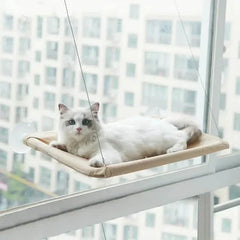 360° Cat Window Hammock: A Space-Saving Sunny Seat for Indoor Cats!