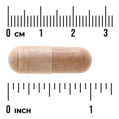 Salacia Oblonga Concentrated 20:1 Extract