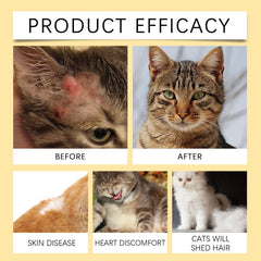 Cat Care Vitamin Moisturizing Skin Fish Oil Supplement Tablets