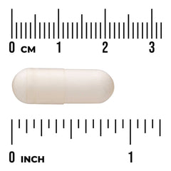 Papaya Enzyme Papain