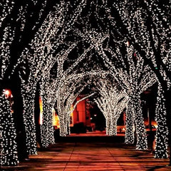 55' Solar-Powered 100-LED Fairy Light String - Warm White