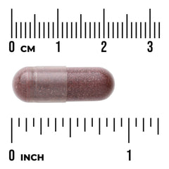Hibiscus Flower