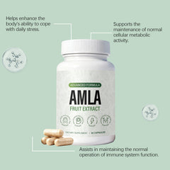 Balanced Daily Nutritional Supplement Emblica Extract Capsules