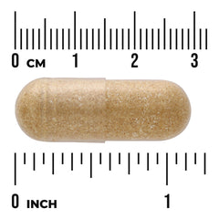 Chinese Skullcap