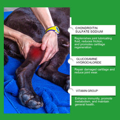Canine Joint Care Tablets