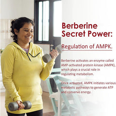 AMP-activated Protein Kinase Berberine Gummies