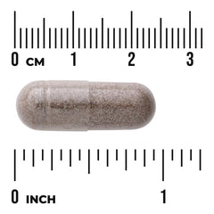 Mullein Leaf Extract - Standardized
