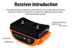 Système de clôture électrique sans fil pour chien, étanche et avec vibration