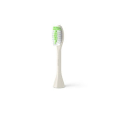 Philips One by Sonicare Replacement Electric Toothbrush Head BH1022/07 2pk - Missing Box