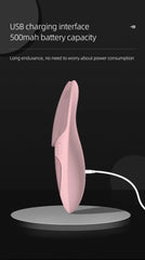 Sonic Heated Facial Cleansing Brush with Eye Massager
