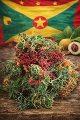 Wildcrafted Gracilaria Full Spectrum