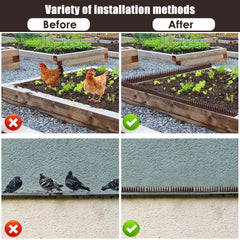 12-60Pcs Anti Climb Bird Spikes Fence Wall Spikes Stop Birds and Cats Sitting on Fence Cat Repellent Spike for Deterrent Burglar