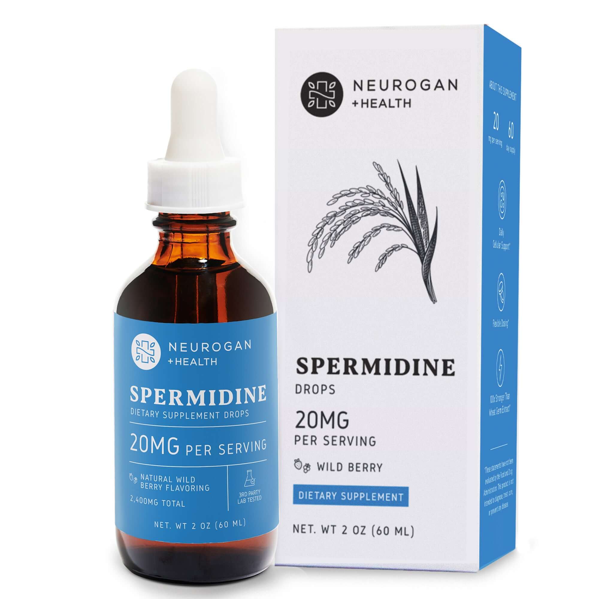 spermidine drops supplement in a 2 oz bottle with dropper, showcasing the packaging and liquid design