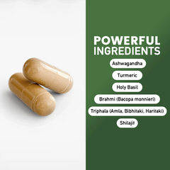 Ayurvedic Complex