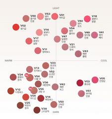 BBIA Last Velvet Tint 5g (32colors)