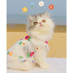 Robe pour chat avec broderie florale en maille
