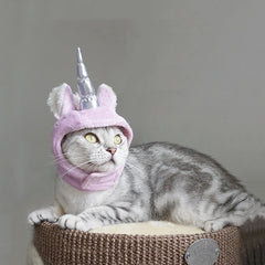 Chapeau pour animal, chapeau à tirer pour chat, universel, Halloween