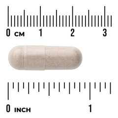 Hormone Essentials