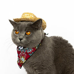 Sombrero vaquero occidental de paja para gatos
