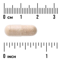 Prostate Glandular - Men's Health
