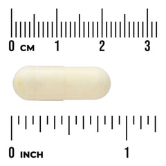 Alpha Lipoic Acid