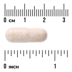 Japanese Oyster Extract