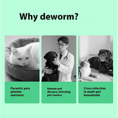 Pet Itching Relief Health Care Products
