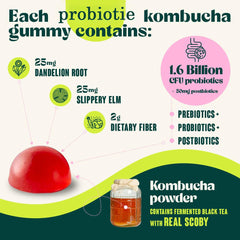 Prebiotic And Probiotic Kombucha Gummies