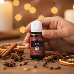 Young Living Clove Essential Oil – 15ml (0.5 fl. oz.)