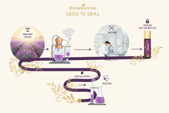 Young Living Tranquil Roll-On Essential Oil Blend
