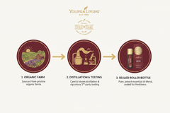 Young Living Thieves Roll On Essential Oil Blend