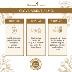 Huile essentielle de clou de girofle Young Living – 5ml (0.17 fl. oz.)