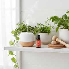 Plant Therapy Germ Fighter Essential Oil Blend 10ml