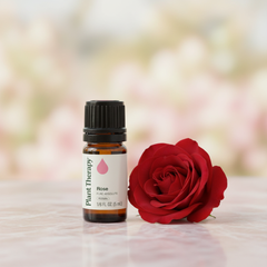 Huile essentielle absolue de rose pure Plant Therapy 5mL | KidSafe