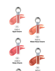 ENTROPY Makeup Cham Tint 3.0g #Glossy Gel Line