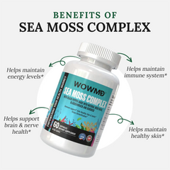 Complexe de mousse de mer
