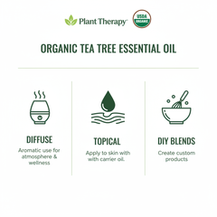 Plant Therapy Organic Tea Tree Pure Essential Oil – KidSafe, 10 mL