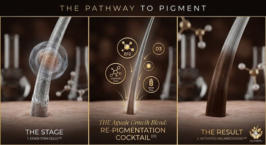 The Nutritional Blueprint: Reversing Premature Graying through Micronutrient Therapy