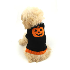 Pull tricoté citrouille d'Halloween pour animal et chien