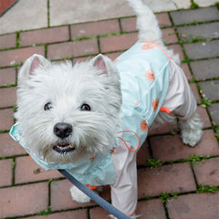 Imperméable à quatre pattes pour animaux, modèle intégral réfléchissant, imperméable et coupe-vent