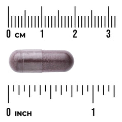 Bilberry Extract - Standardized