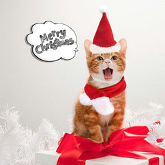 Ensemble bonnet et écharpe de Noël pour chats, chiens et petits animaux