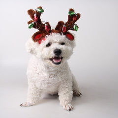 Fournitures pour animaux, chapeau de Noël pour chien, décorations pour chat