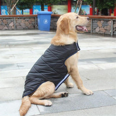 Manteau d’hiver en coton pour chien
