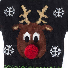 Pull de Noël pour animal de compagnie