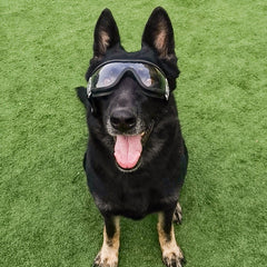 Gafas de sol para perros grandes con diseño de tinta