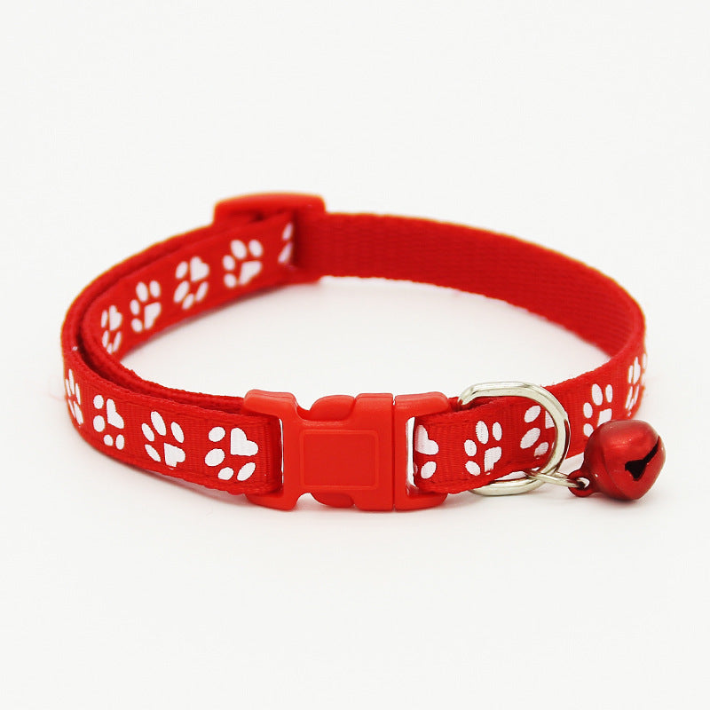 Die Hauskatze trägt ein Glöckchenhalsband