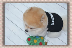 Vêtement pour animal, vêtement pour chien, gilet noir de printemps et d'été