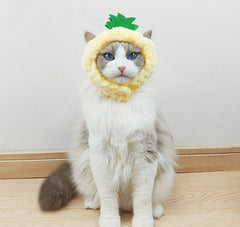 Süßer Ananas-Katzenhut Warme Plüsch-Kopfbedeckung